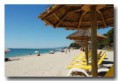 /album/photos-perla-di-mare/perla-plaz-jpg/